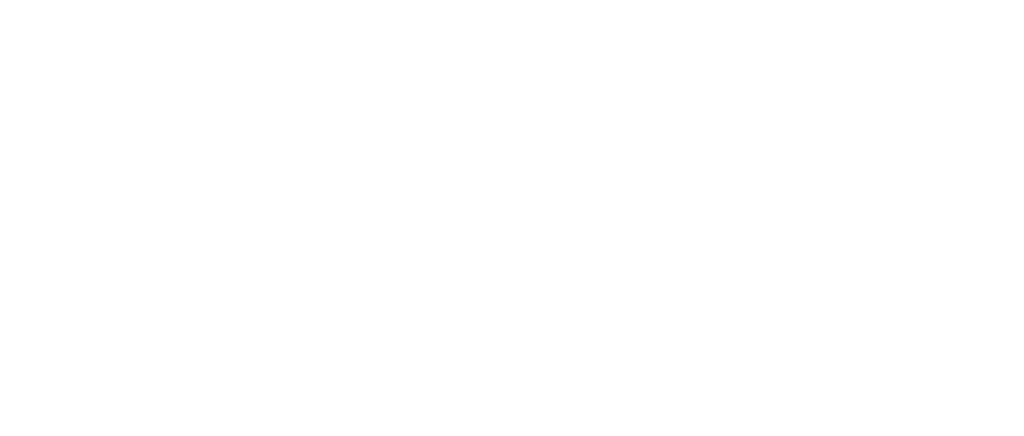 Business-Finland-logo.